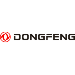 DONGFENG MOTOR